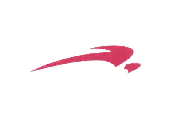 SOAR Logo